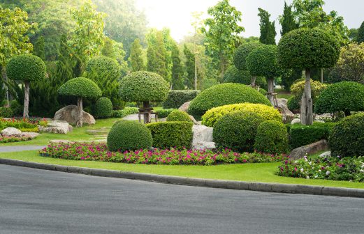 Gardening and Landscaping With Decorative Trees and Plants