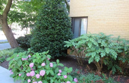 CommercialSIDEgarden