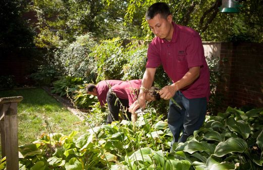 Martin-Landscaping-100418-9712a