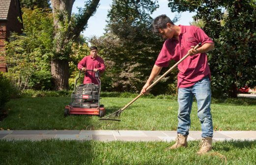 Martin-Landscaping-100418-9750a