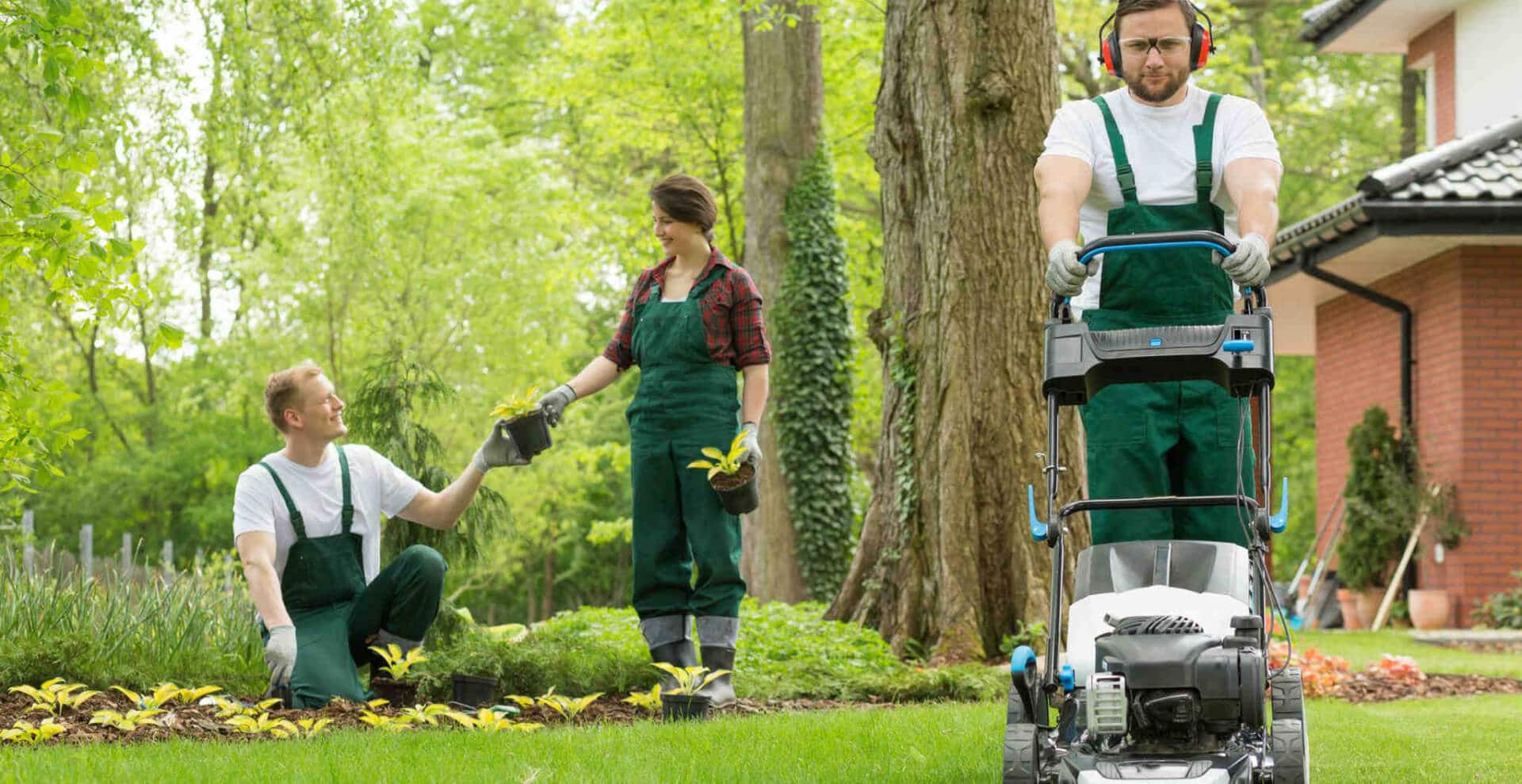 COMPLETE DC LAWN MAINTENANCE SERVICES