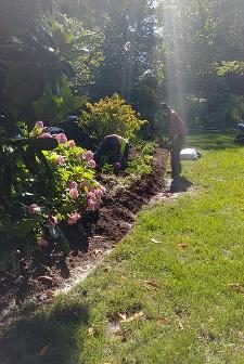 martinsHeavenlyLightGDN