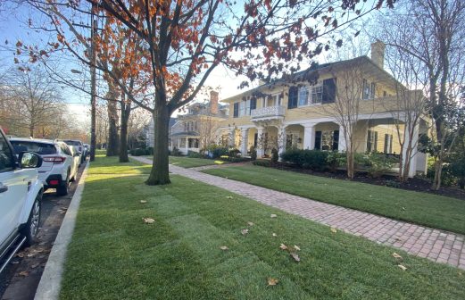 martinsDCyelPERFECTwide