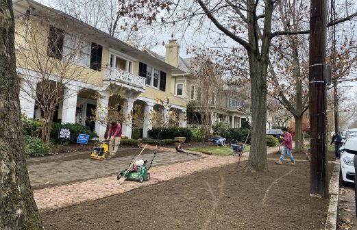Laying Sod Landscaping