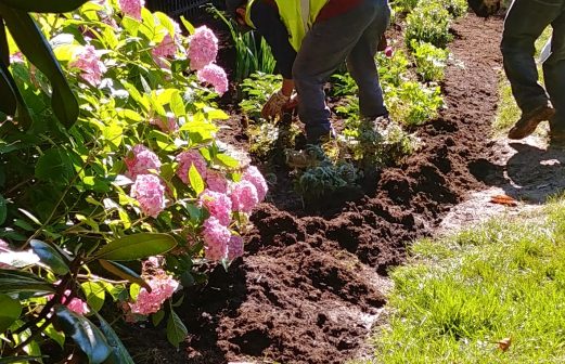 martinGARDENbedCropped