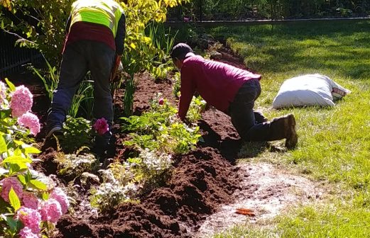 martinsGardenINSTALL3best