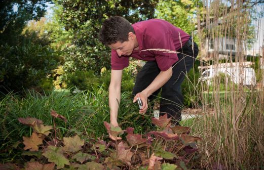 Martin-Landscaping4_800px