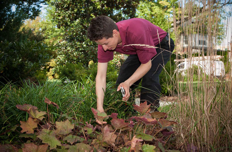 Martin-Landscaping4_800px