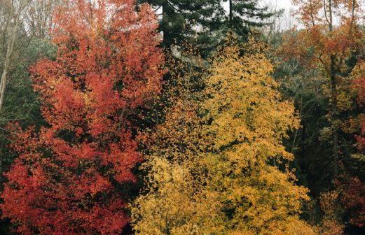 ahmed-7CKw-8v6Gn8-unsplash