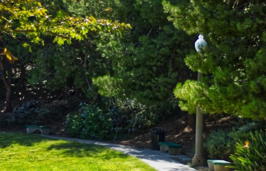 joanna-huang-1hyE_PcCJKc-unsplash (1)