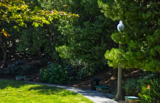 joanna-huang-1hyE_PcCJKc-unsplash