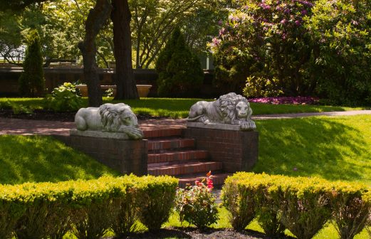 mariya-b-FaFaemcP8vU-unsplash