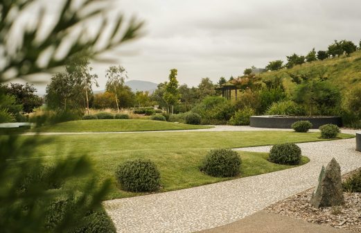 raelle-cameron-JUNyb_cetns-unsplash