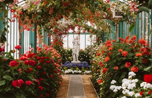 simon-henrotte-yGtI-Lk7ZNg-unsplash