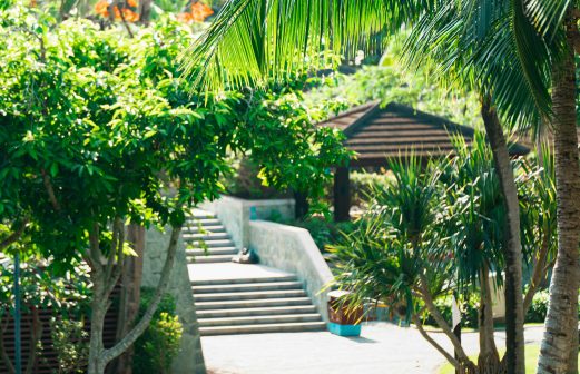 xie-jian-LHwwir3U_30-unsplash