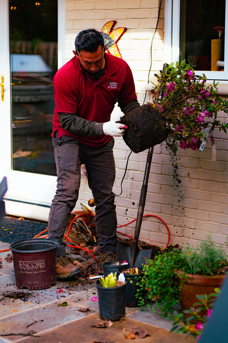 Bethesda-Garden-Planting