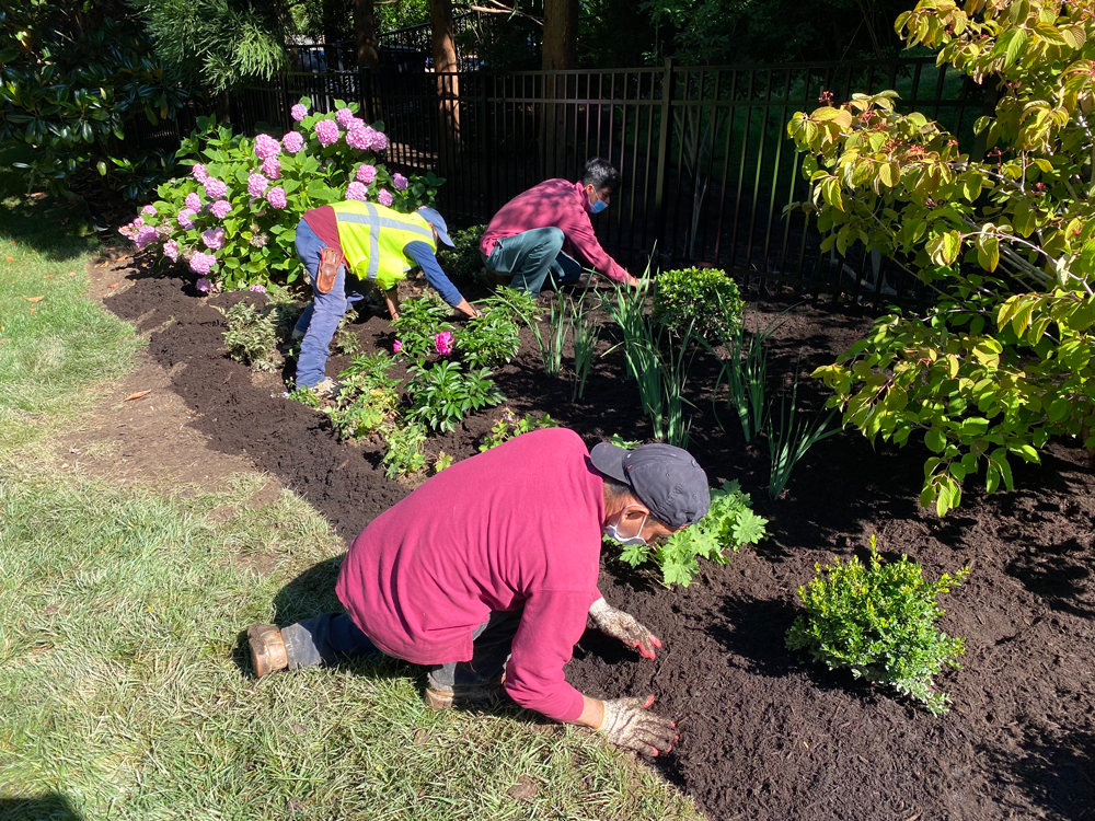 Spring-Clean-Ups-Planting