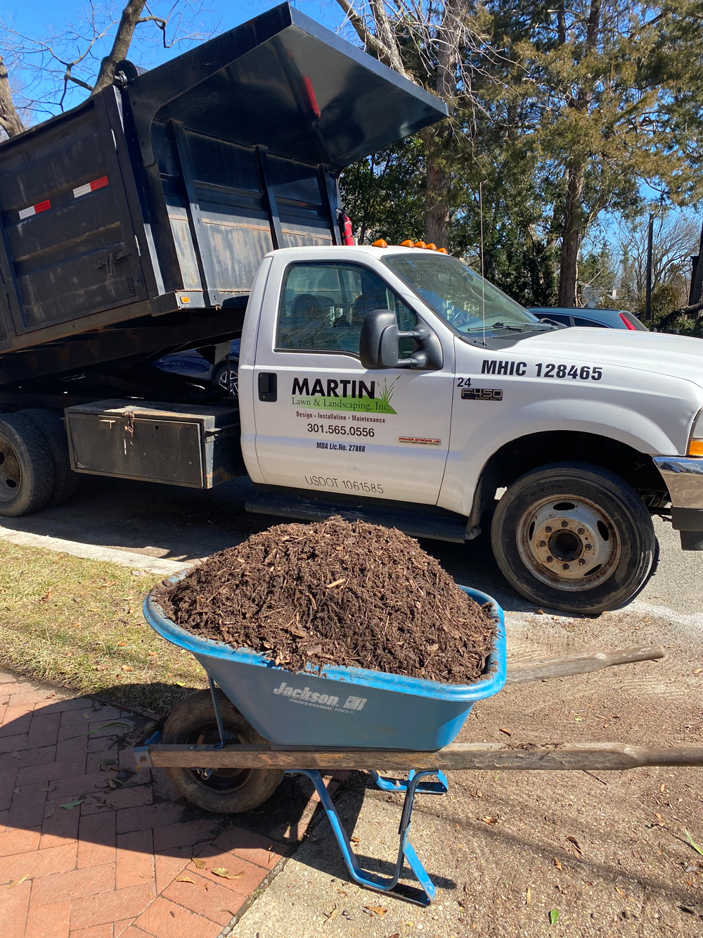 Yard-Clean-Ups